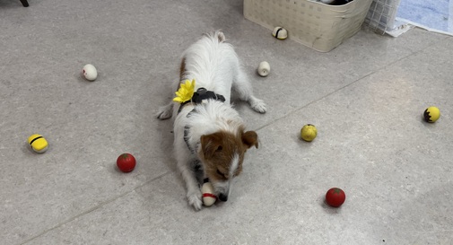 img_20250812-155226.jpg