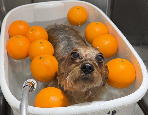 img_20260128-122451.jpg
