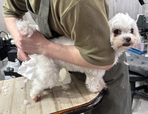 img_20260304-205153.jpg