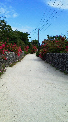 img_20120603-082906.jpg