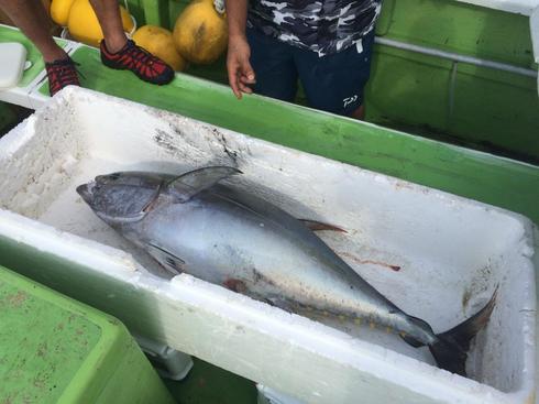 img_20170907-174620.jpg