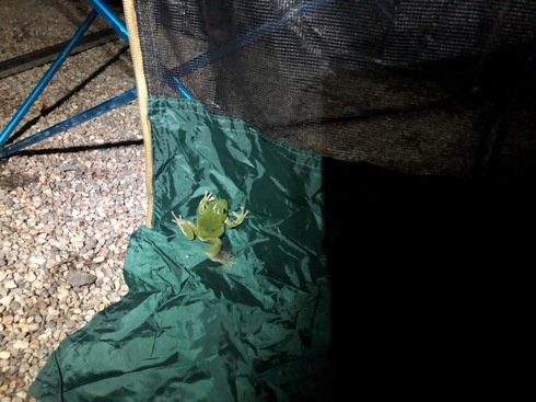 img_20181009-183315.jpg