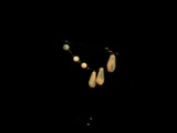 img_20181110-072107.jpg