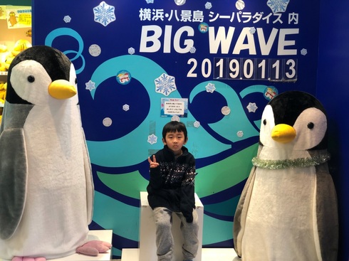 img_20190115-093653.jpg