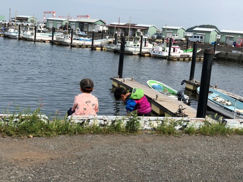 img_20190514-104736.jpg