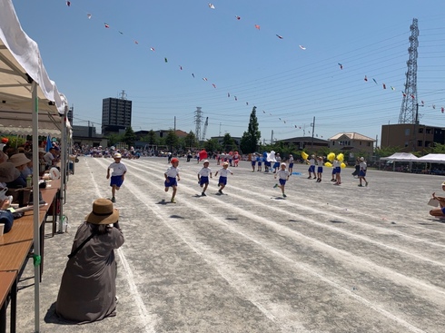 img_20190610-110724.jpg