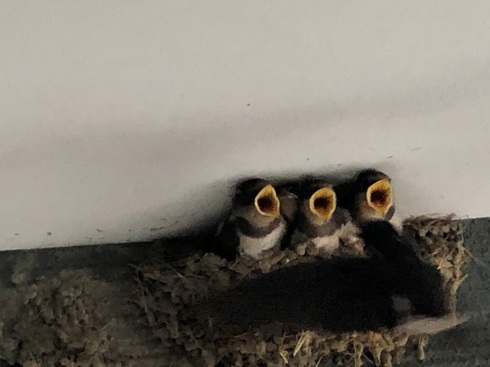 img_20190708-031904.jpg