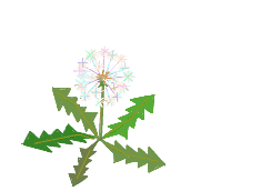 img_20160318-154525.gif