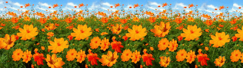img_20160916-133416.gif