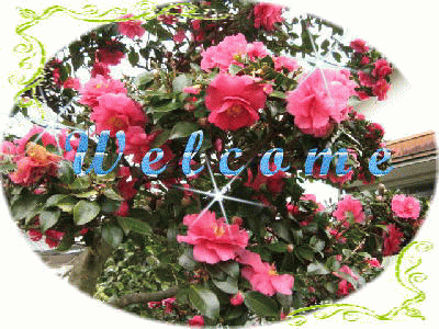 img_20161119-232700.gif