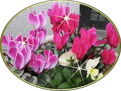 img_20161205-161805.gif