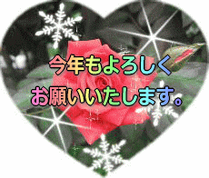 img_20170102-200645.gif