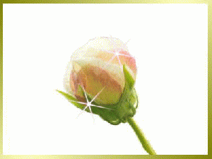 img_20170220-190314.gif