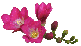 img_20170224-180114.gif