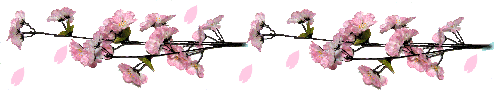 img_20170303-203539.gif