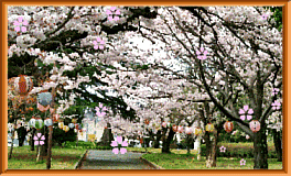 img_20170311-200527.gif