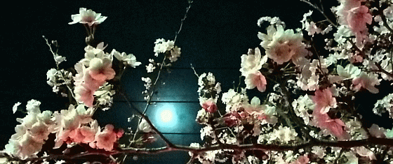 img_20170323-171247.gif