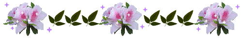 img_20170417-155601.gif