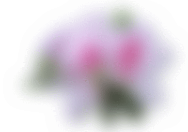 img_20170430-204141.gif