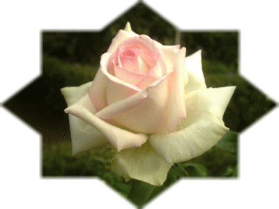 img_20170509-081012.gif