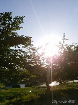 img_20170528-161043.jpg