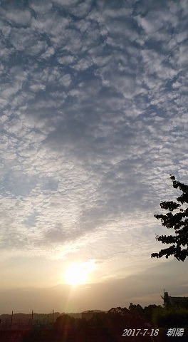 img_20170718-181254.jpg