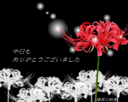 img_20170922-151655.jpg