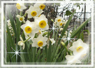 img_20180410-192117.gif