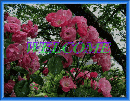 img_20180620-081750.gif