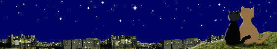 img_20181216-105631.gif