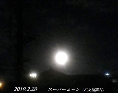 img_20190220-125145.jpg