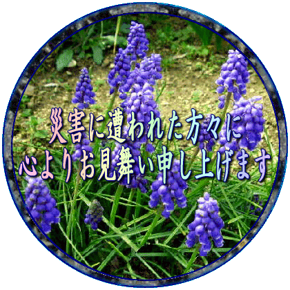 img_20190311-125359.gif