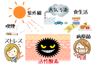 img_20190415-121502.png