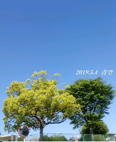 img_20190504-102619.jpg