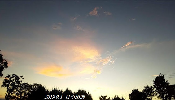 img_20190904-110922.jpg