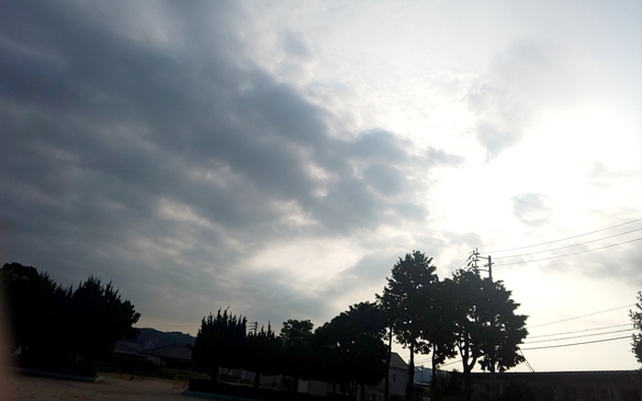 img_20200820-225631.jpg