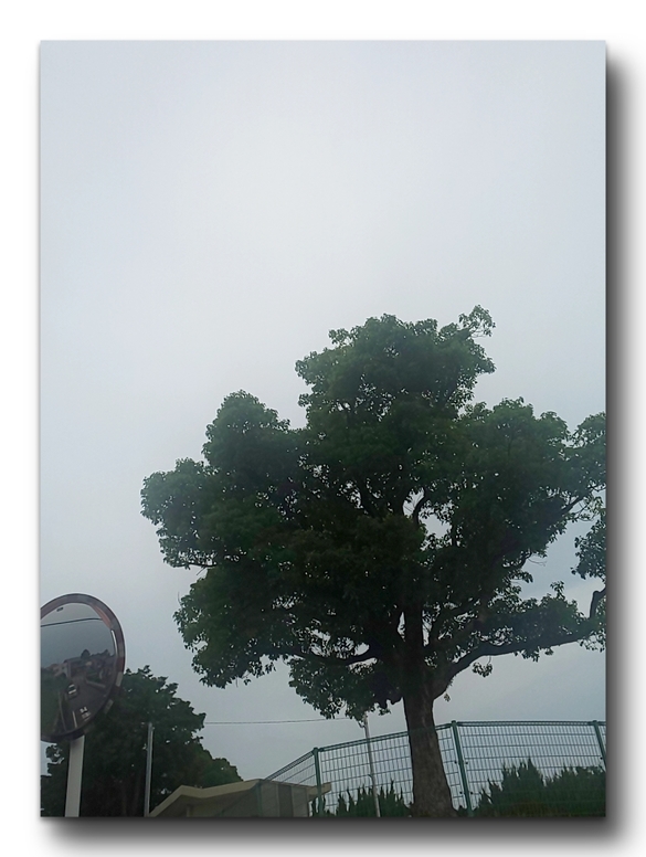 img_20200923-094625.jpg