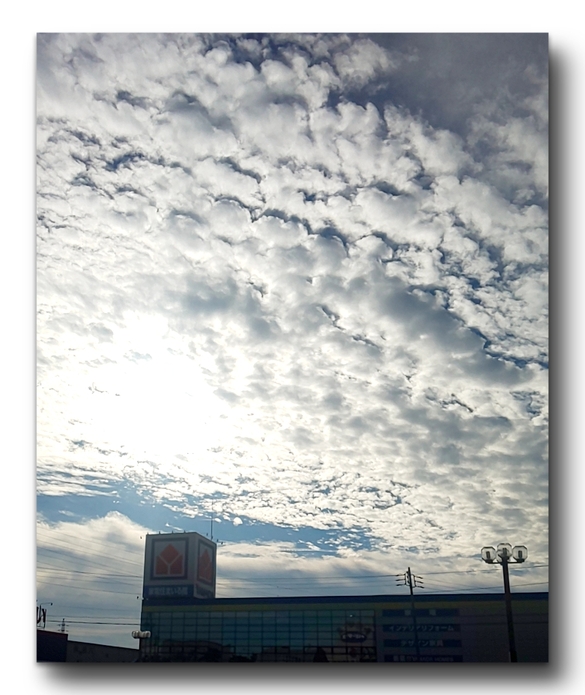 img_20201209-083017.jpg