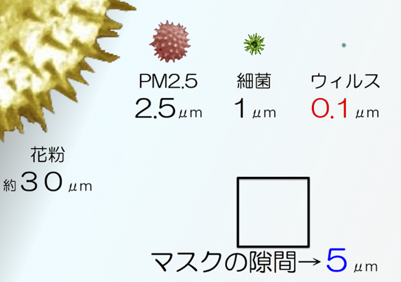 img_20210222-110050.png