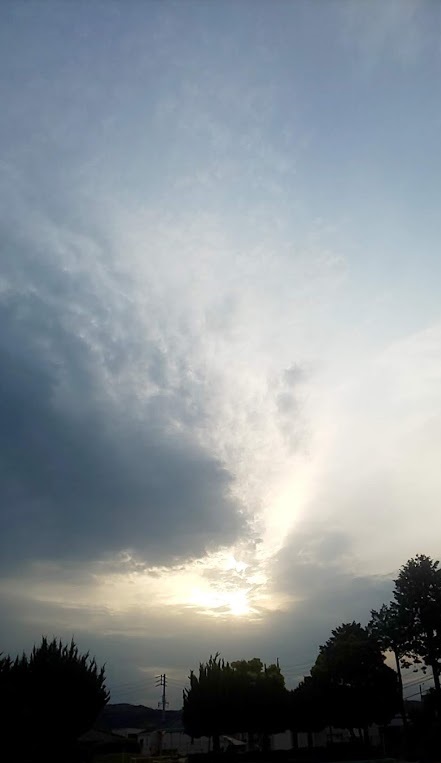 img_20210511-010140.jpg