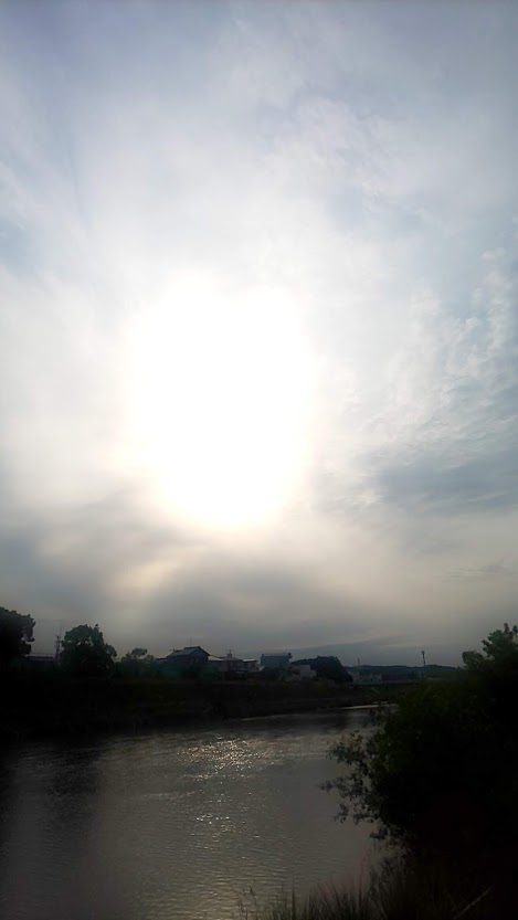 img_20210511-010259.jpg