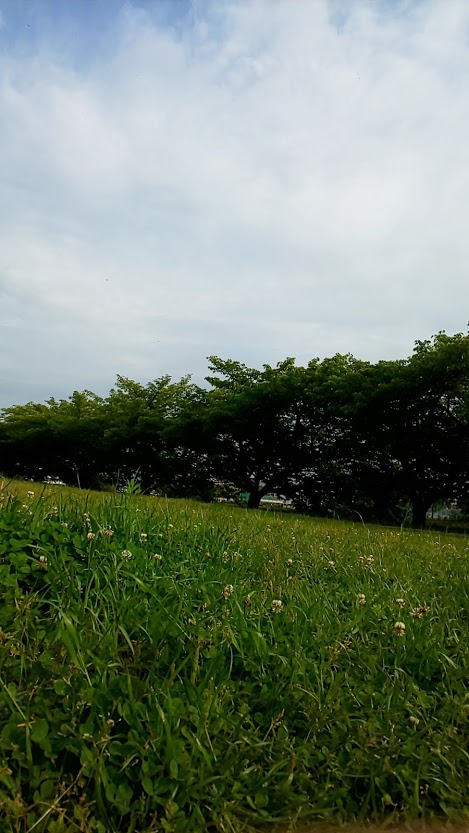 img_20210511-010351.jpg