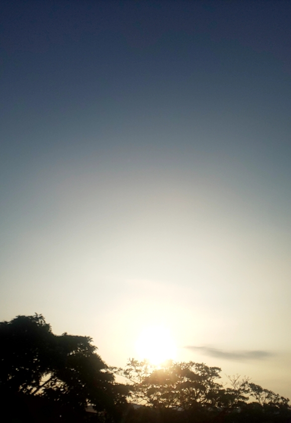 img_20210615-051626.jpg