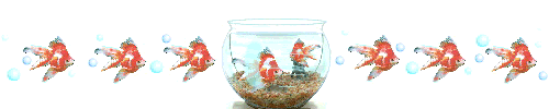 img_20210804-095450.gif