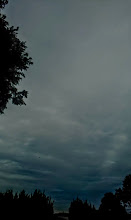 img_20220614-000615.jpg