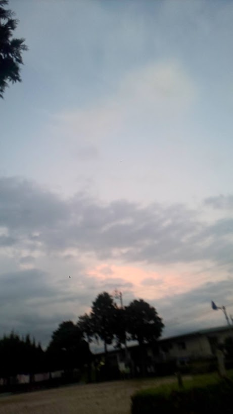 img_20220821-110846.jpg
