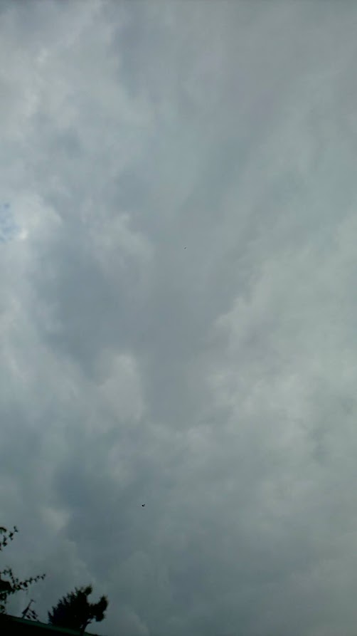 img_20220827-080707.jpg