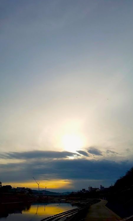 img_20230224-093935.jpg
