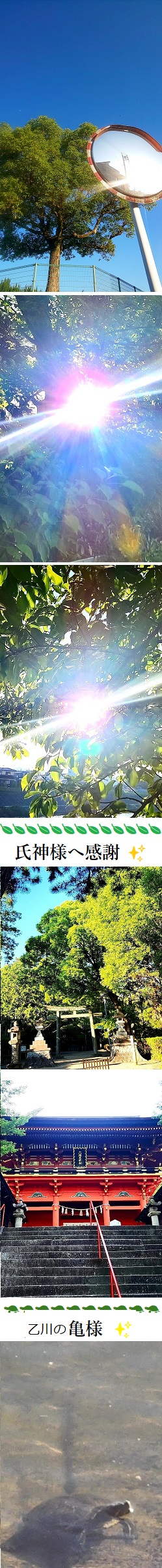 img_20230617-111034.jpg