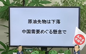 img_20231121-163244.png